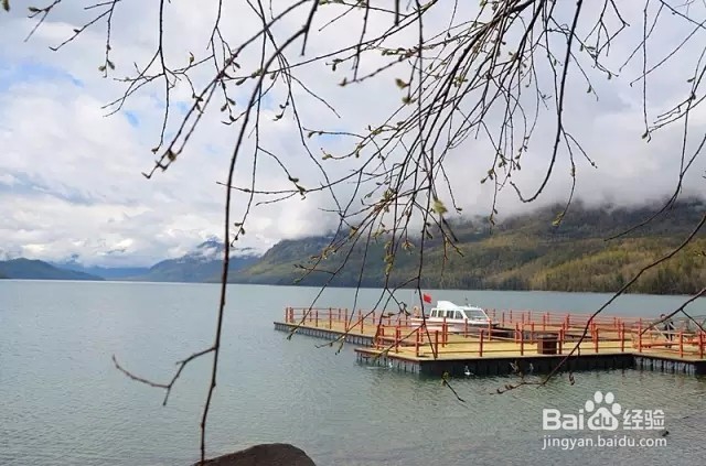 喀纳斯旅游攻略