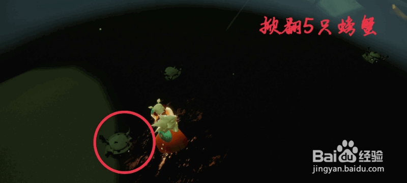 《光遇》5月26日任务怎么做