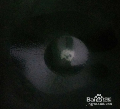 让人垂涎三尺的香煎鱼