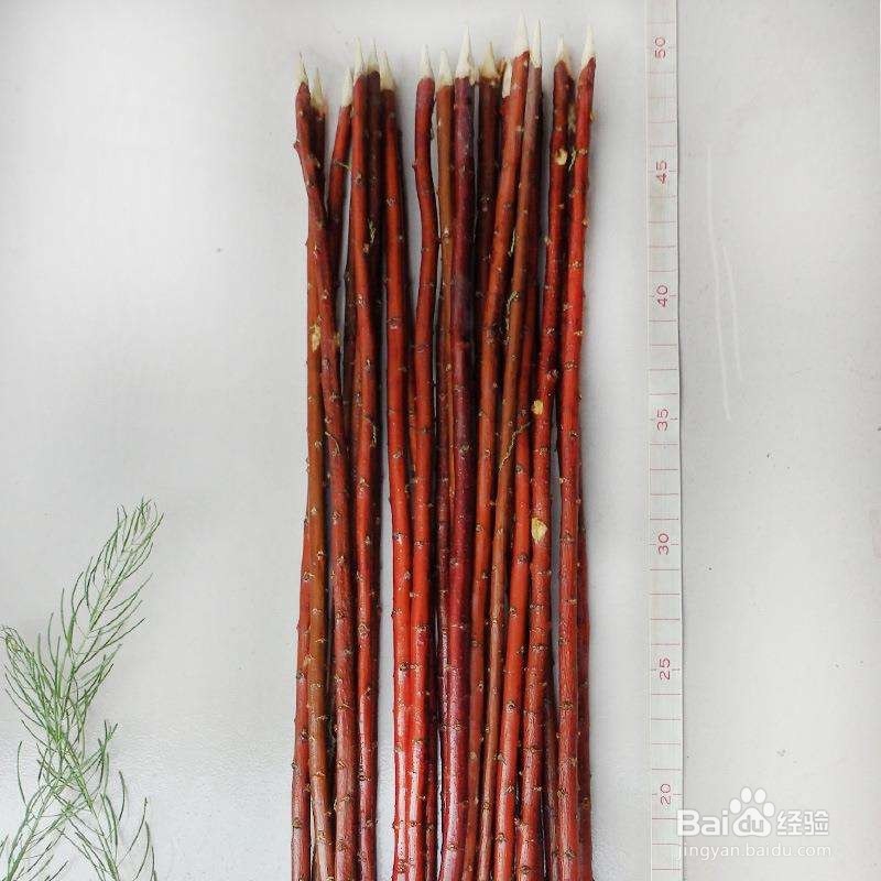 大串库尔班大叔烧烤烤肉做法