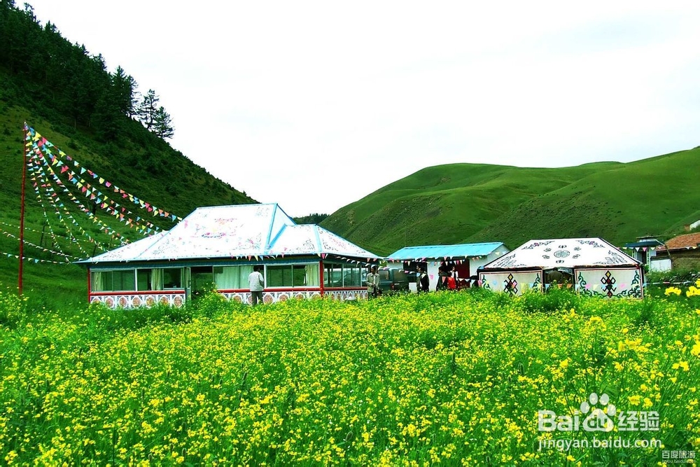 甘肃张掖旅游攻略必备知识