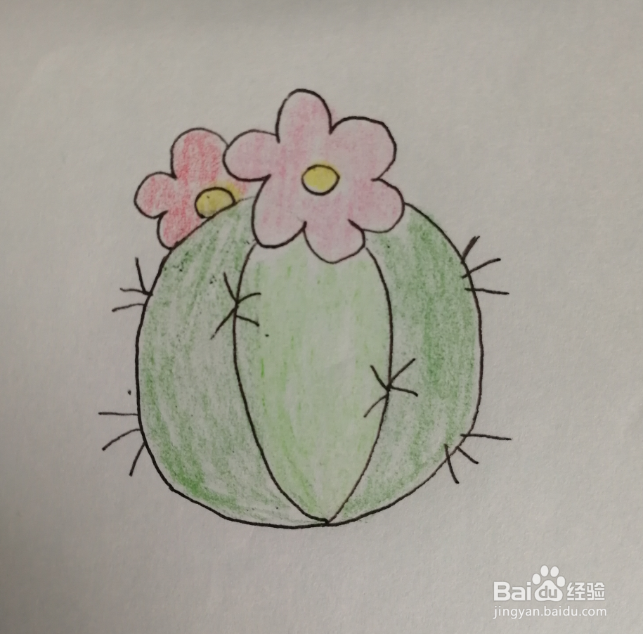如何画一个开花的仙人球简笔画