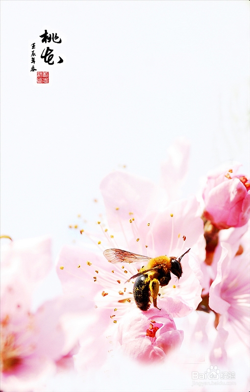 邮件营销很简单