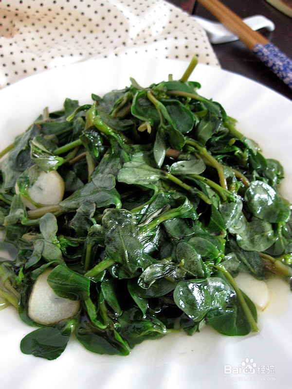 清热解毒野菜——清炒马齿苋