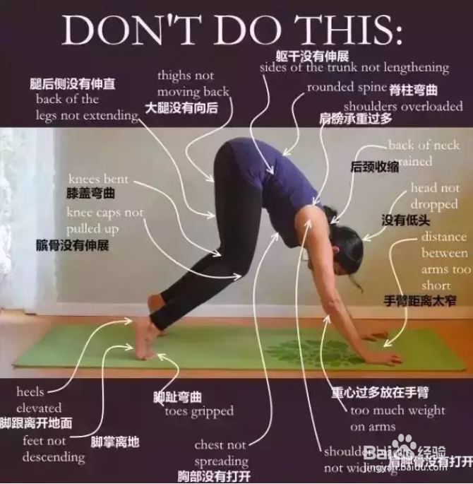 跟大师兄学瑜伽之下犬式 多少人被误导了
