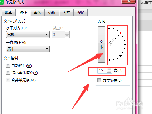 WPS表格中如何制作倾斜文字