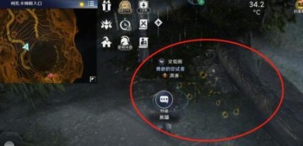 黑色沙漠手游硕大而特别的花位置