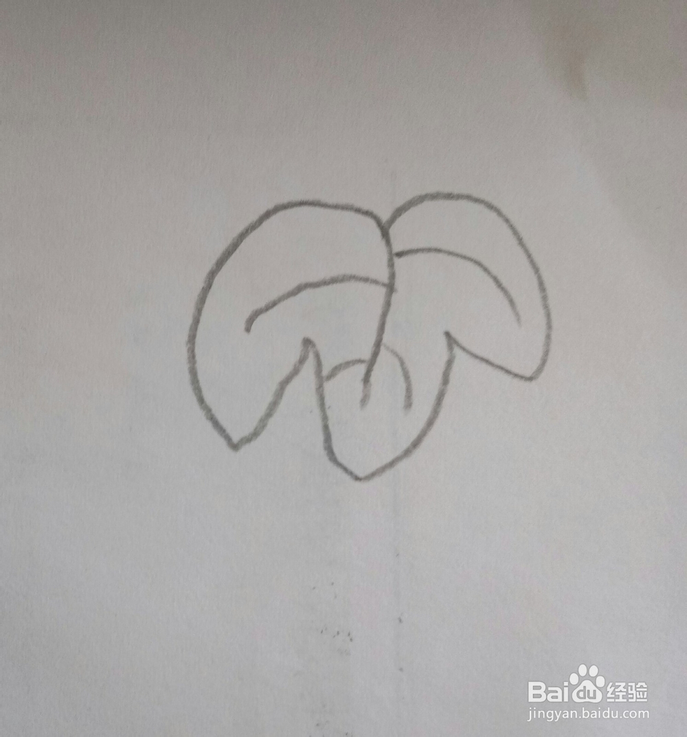 儿童简笔画葡萄的画法3