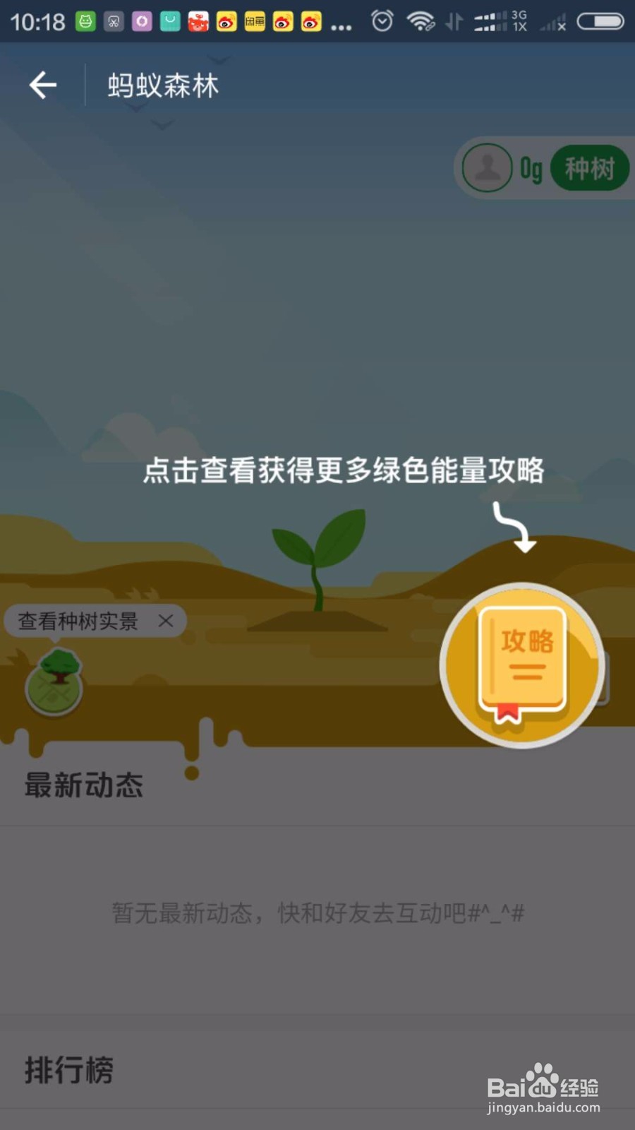 支付宝里面怎样种树