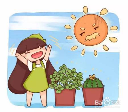 这些花夏天长最快, 错过这段时间, 后悔都来不及!