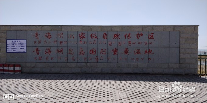 青海湖租摩托车骑行青海湖-青海湖,梦幻般的湖