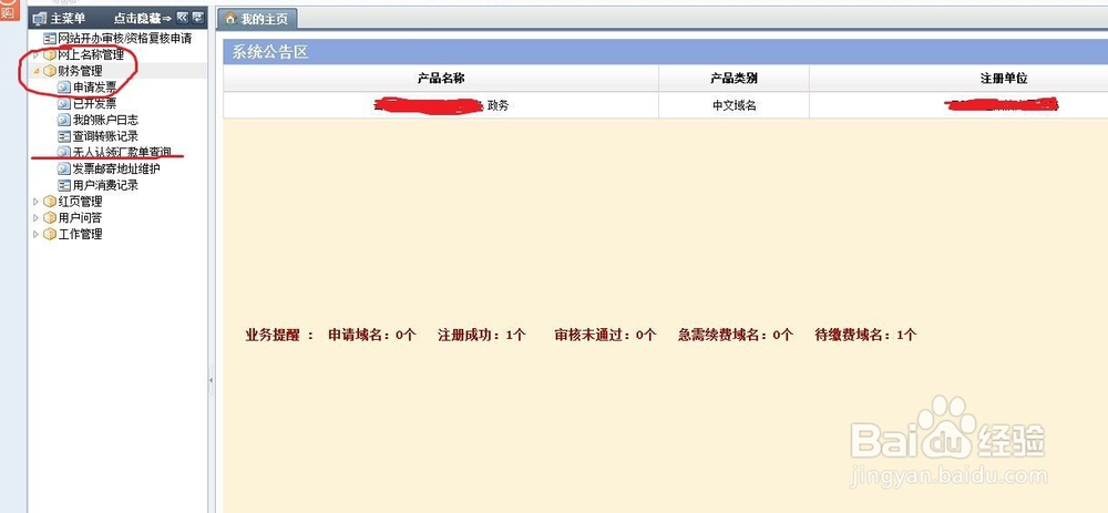 政务域名汇款后账号余额还是为零怎么办