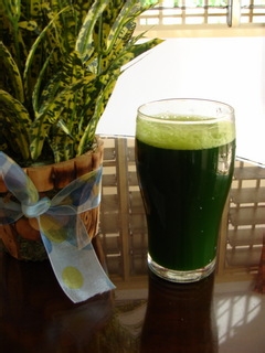 养生马草汁制作方法