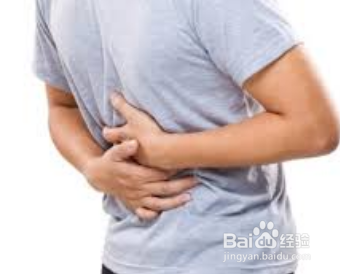 人造甜味剂和运动补品对消化道肠道微生物有毒