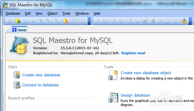 如何用Maestro导出视图记录到EXCEL2003格式文件