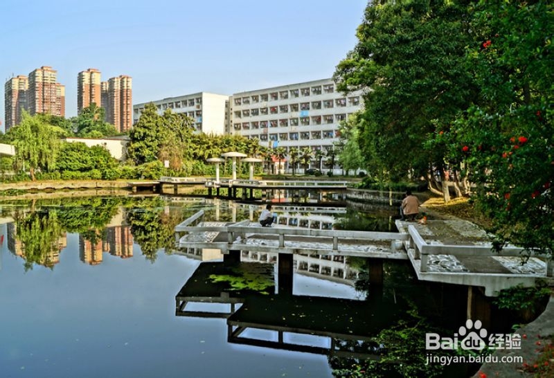 安徽农业大学校园聚会&约会精选场地