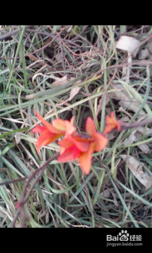 【安卓APP】美图看看新手测评