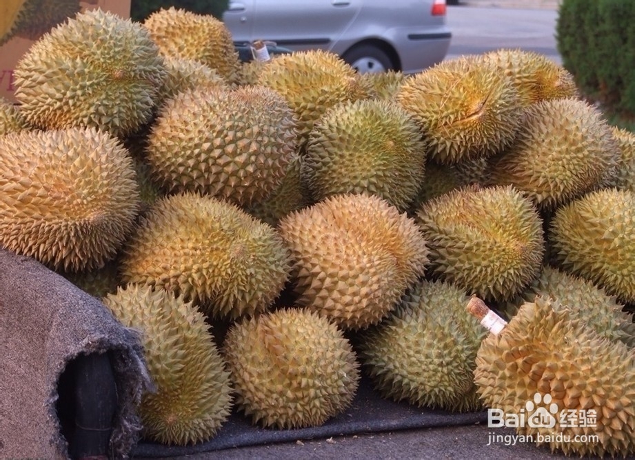 #水果#如何挑选优质的榴莲