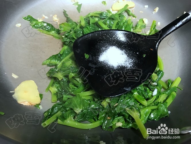 怎么煮蒜蓉炒豆苗