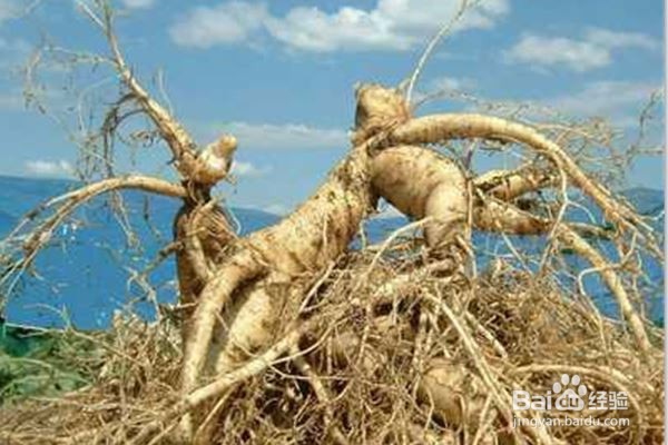 开高效率的会议的必有条件