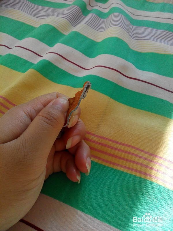 旧皮包改造——系列作品