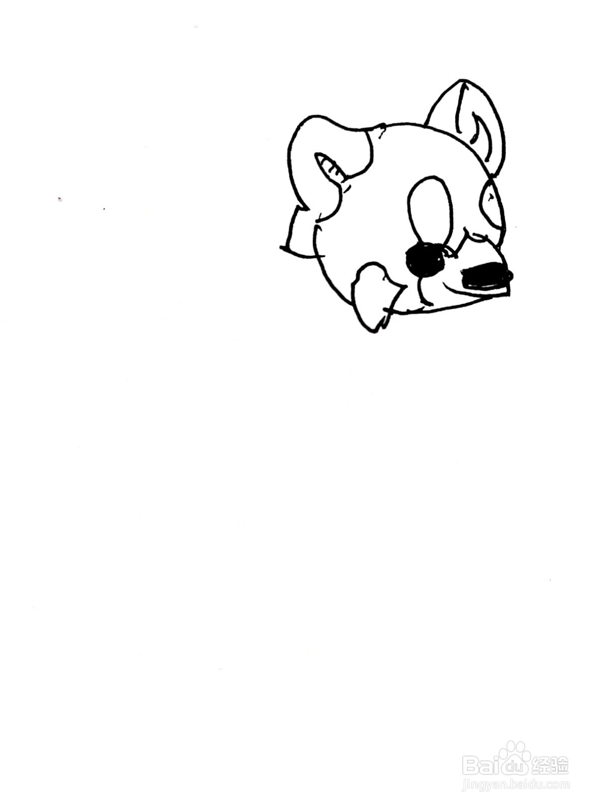 正在散步的小浣熊线描画怎么画