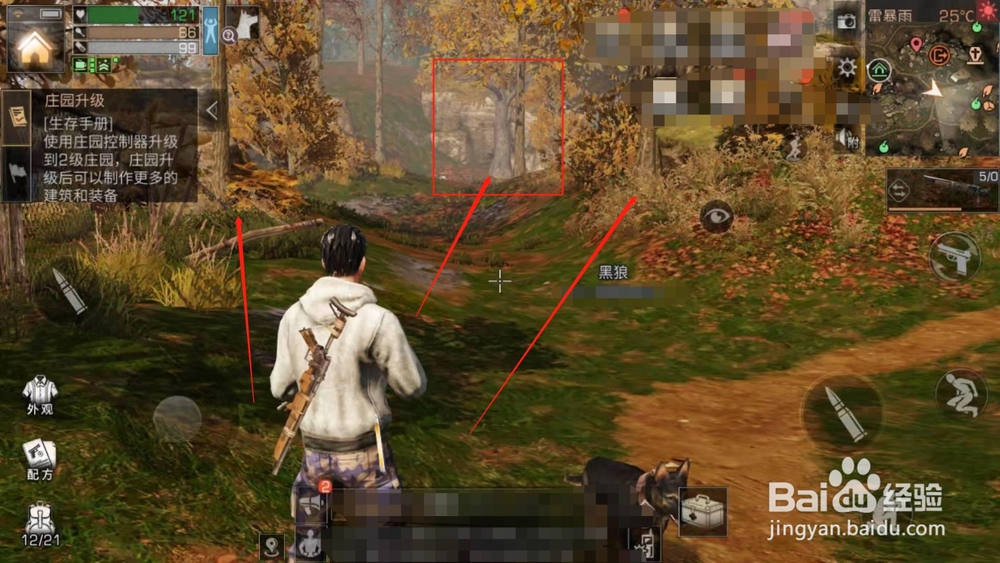 明日之后,如何获得蜂蜜