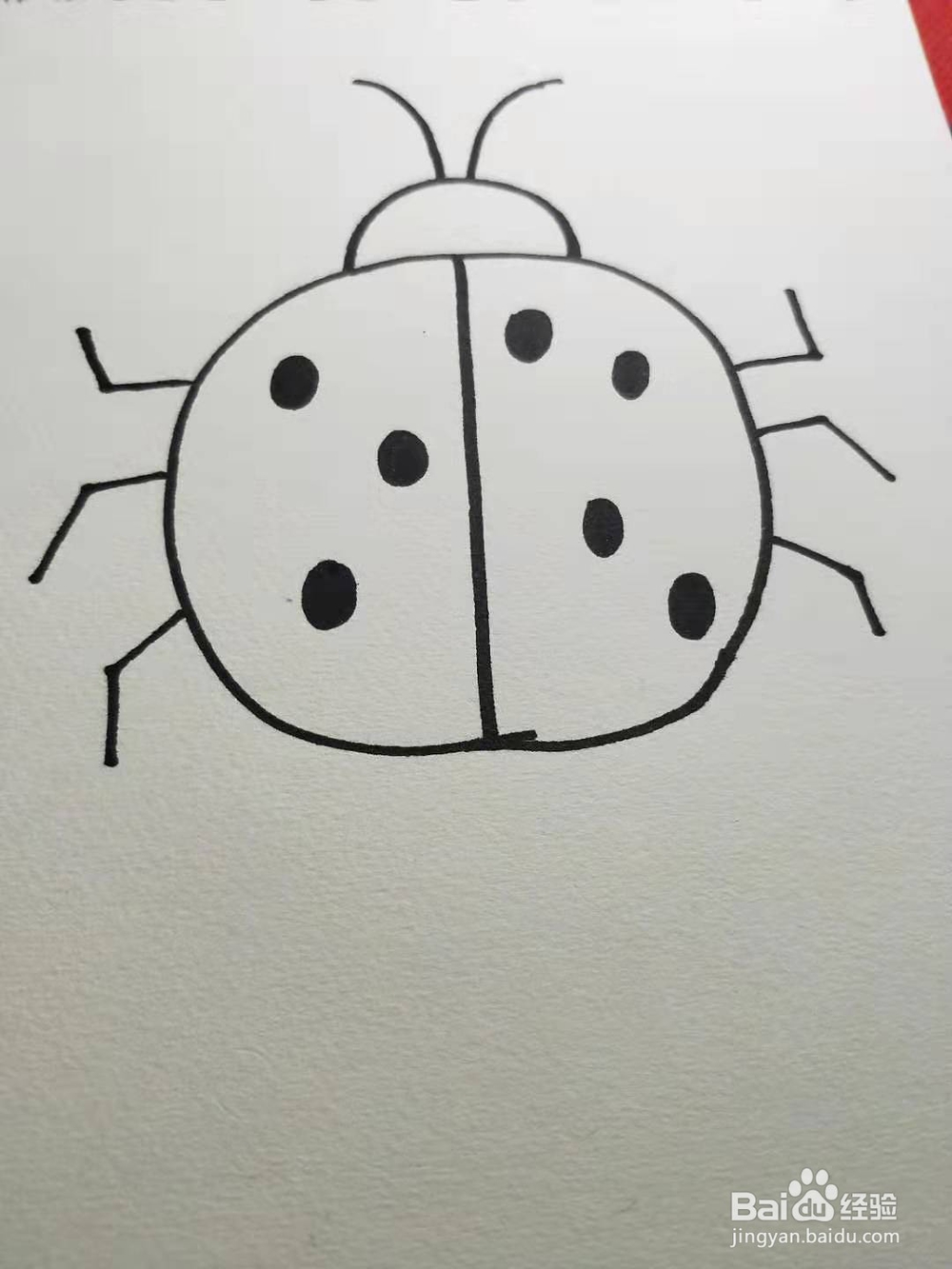 如何画七星瓢虫简笔画