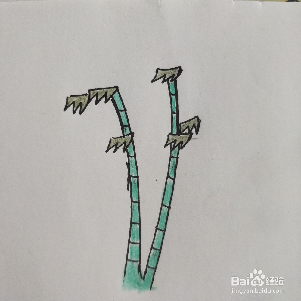 怎么画树木的简笔画(三)