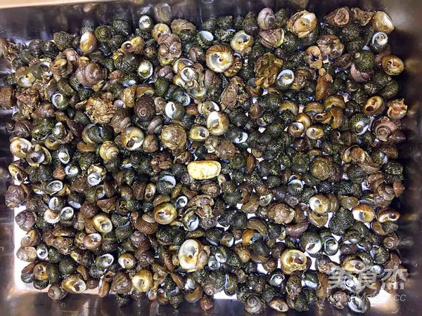 辣炒小香螺的做法