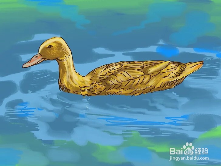 如何照顾小鸭子