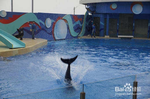 广州到香港海洋公园旅游怎么坐车