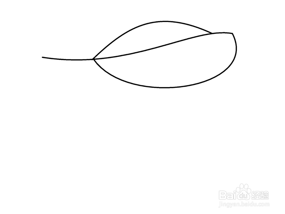 怎样画冬天的落叶