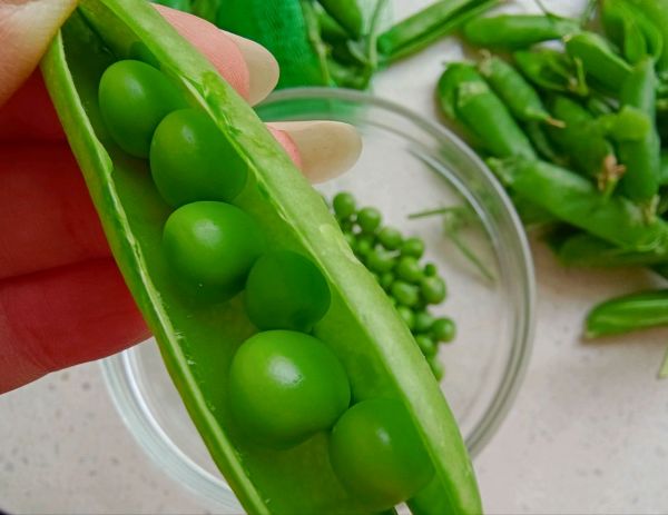 鲜笋青豆松茸汤