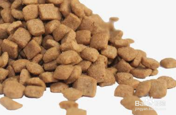 怎么引导狗狗定点大小便