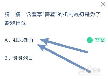 含羞草“害羞”的机制最初是为了躲避什么