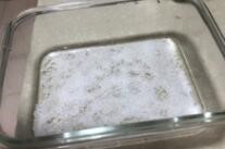 怎么调制一道美味的椰蓉葡萄小方?