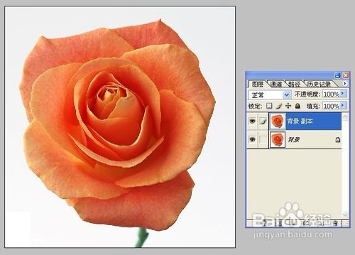 Photoshop结合illustrator快速绘制漂亮矢量底纹
