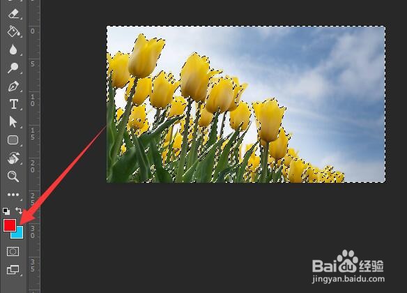 ps如何填充背景