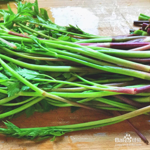 水芹菜的培育方法和注意事项