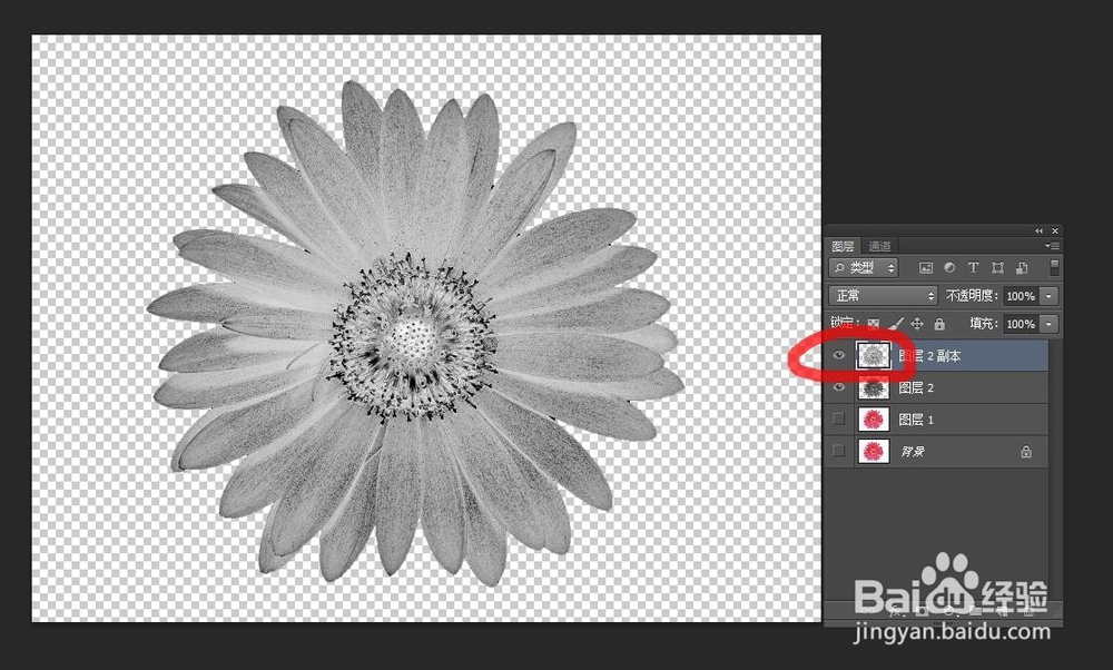 Photoshop教程---制作圆珠笔画效果