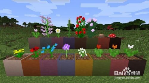 我的世界组合花盆mod怎么玩 百度经验