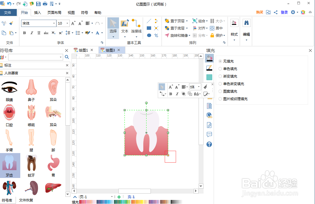 在亿图图示中创建牙齿图