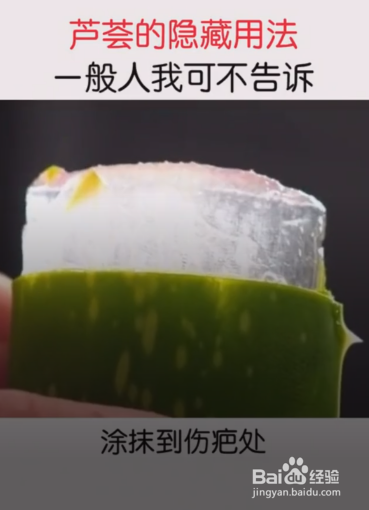 生活中芦荟的妙用