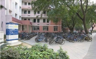 报志愿时选择院校和专业的重要依据有哪些?