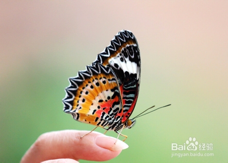 北京放暑假比较好玩的景点推荐