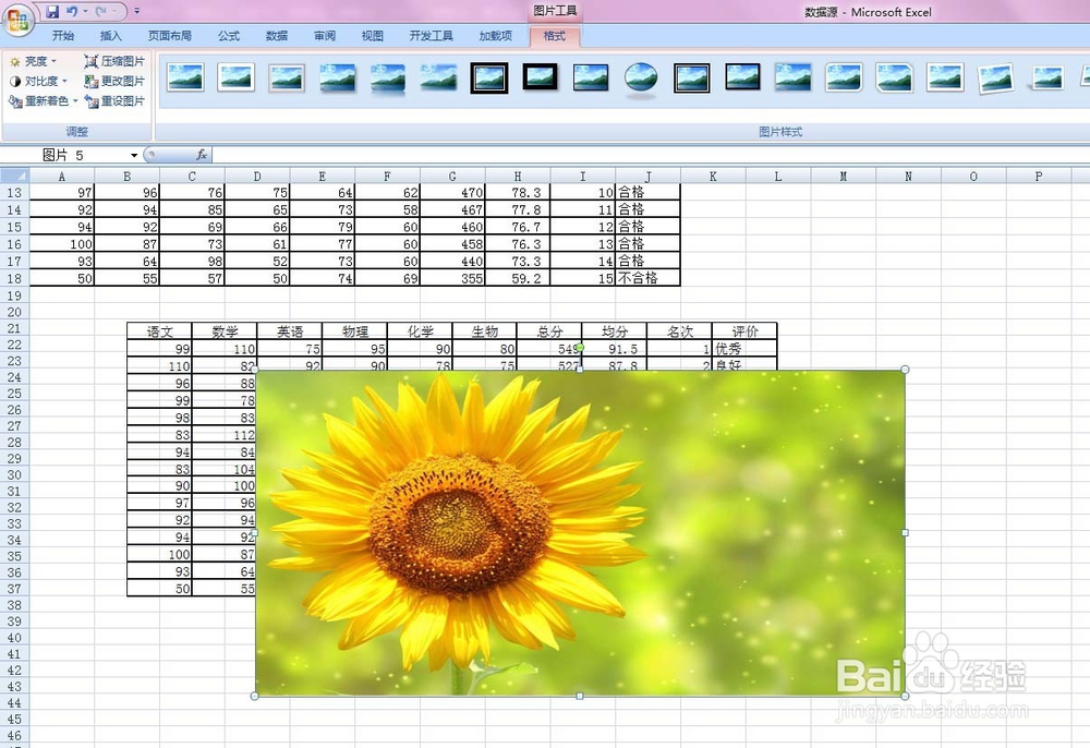 EXCEL给表格加相应背景图片