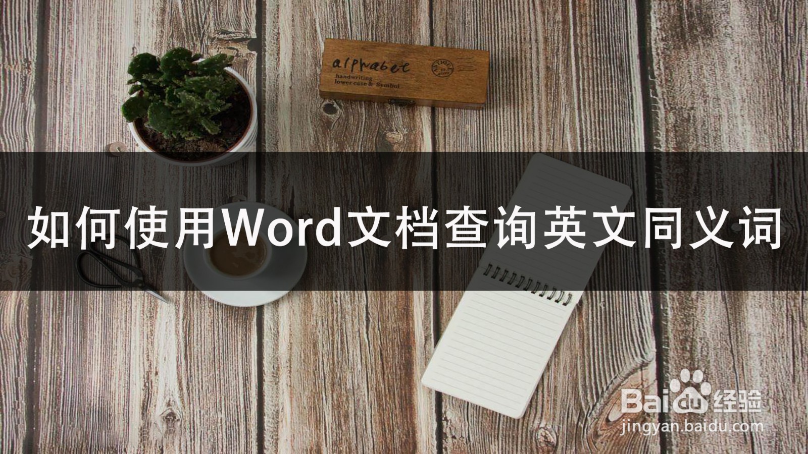 如何使用Word文档查询英文同义词