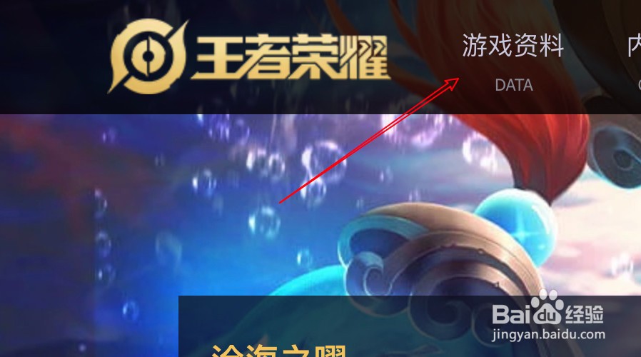 王者荣耀大乔长什么样