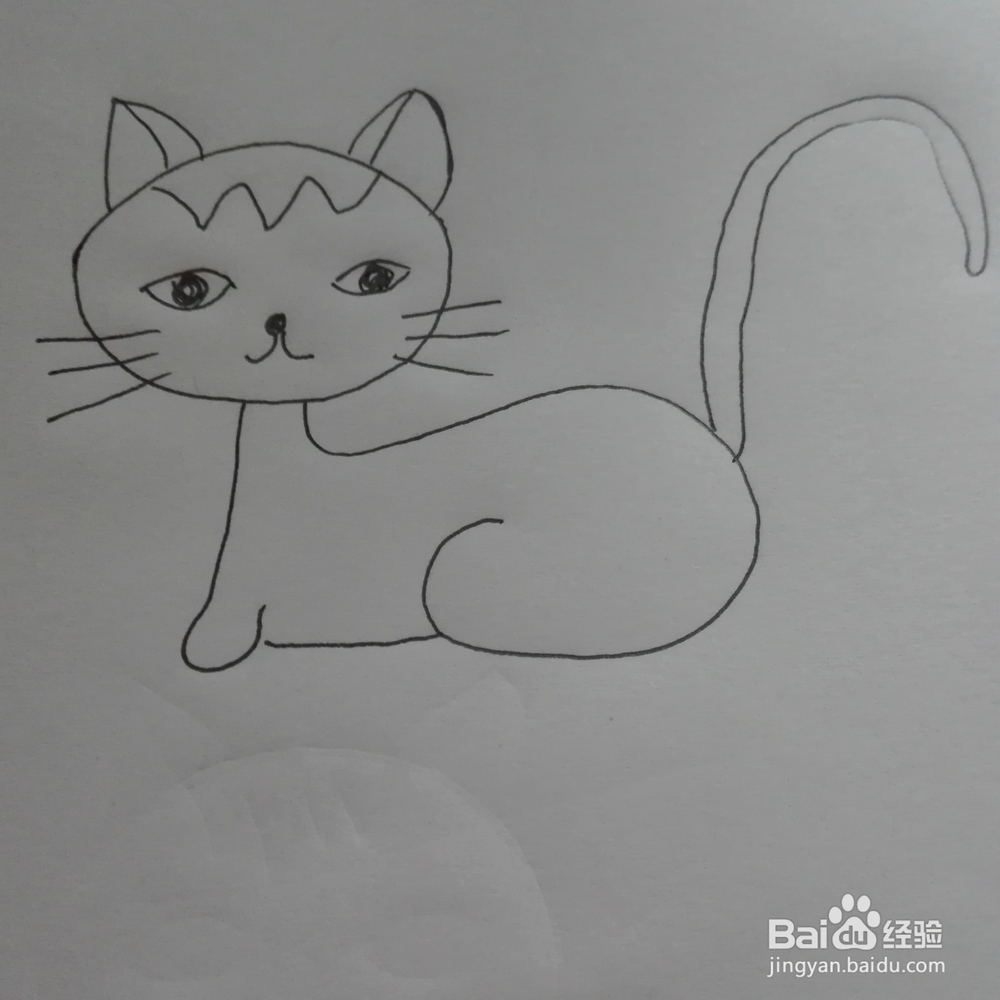 简笔画--小猫咪